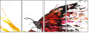 55217486