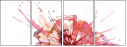 55217636