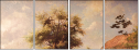 55361975