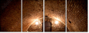 55367505