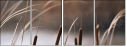 55661015