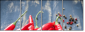 55751143