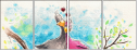 55802927