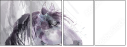 55806223