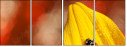55820987