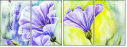 55838203