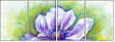 55838405