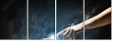 55886651