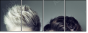 56245304