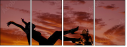 56391467