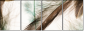 56562123