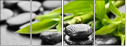 56688548