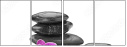 56689552