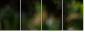 56795972