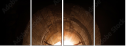 56940386