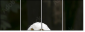 57060206