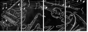 57321160