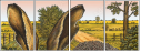 57328279