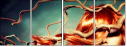 57362714