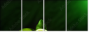 57479075