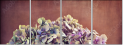 57545430
