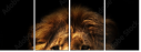 57644723