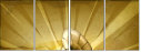 57686954