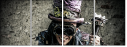 57784574