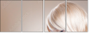 57876268