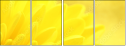 57915870