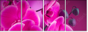 58002130