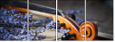58289530