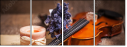 58289639