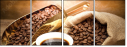 58490755