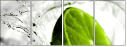 58535251