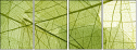 58647115