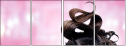 58689994