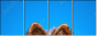 58783058