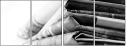 58912446