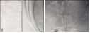 58997973