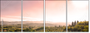 59018630