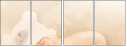 59056429