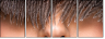 59175977