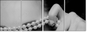 59364579