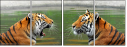 59476374