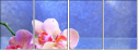 59560560