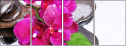 59704886