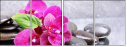 59767586