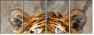 59798134