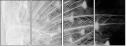 59854721